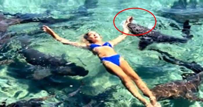 attacked shark katrina hand after swimming photoshoot