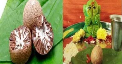 betel nut can change your life
