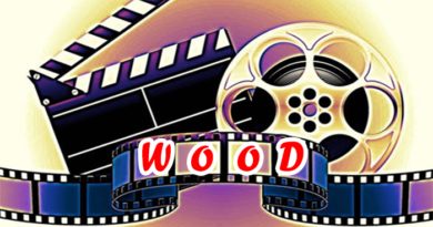 bolywood hollywood lollywood suffix wood reason