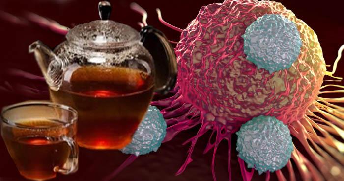 charismatic tea and these protected cancer disease