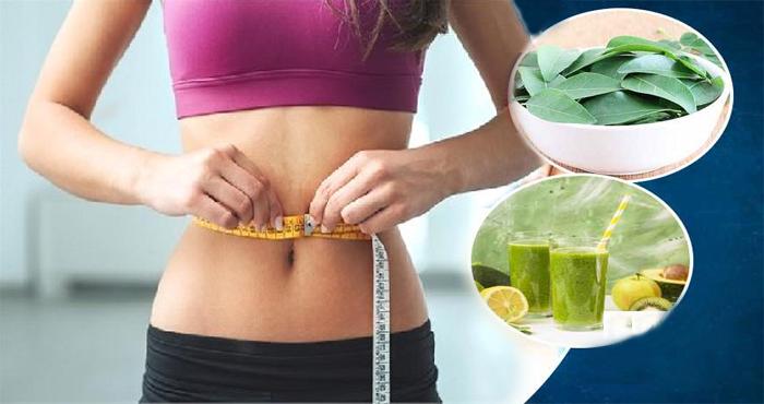 curry leaf juice benefits to reduce fat