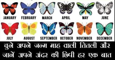 find out what your birth month butterfly reveals about you