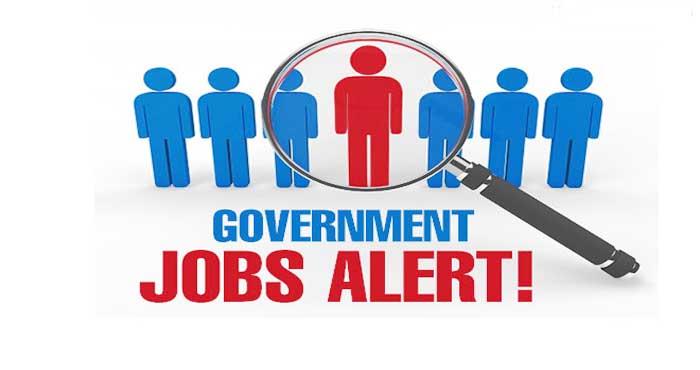government job vacancey graduates good salary