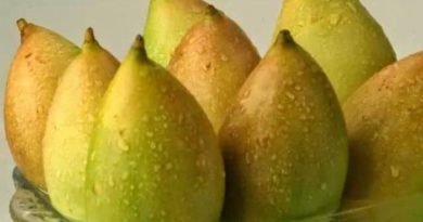 how to call langda aam to mango