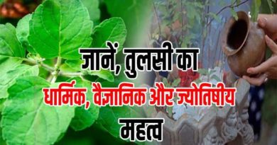 know about importance of basil plant