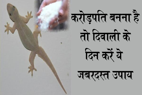 lizard diwali day do this became millioner