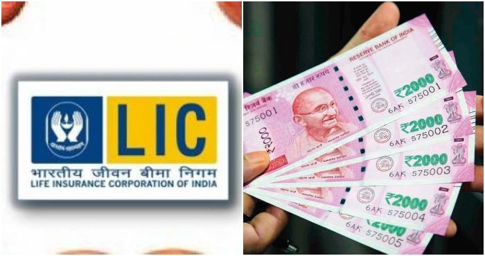 new lic scheme small investment more than 10 lakhs return