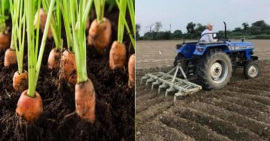 retired colonel discover new farming idea and village become country top carrot exporter