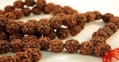 rudraksha is associated with lord shiva as his jewelry its benefit