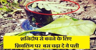shami plant benefits shiv puja vidhi worship tips in hindi for lord shiva