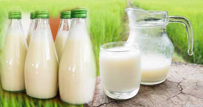 smartphone will tell milk testing
