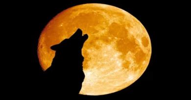 super blood wolf moon wolf make noise reason truth