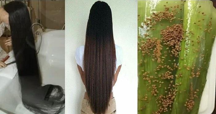 super fast hair growth and hair regrowth remedy