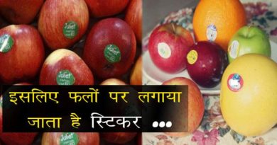 you are know that why fixed fruits stikars